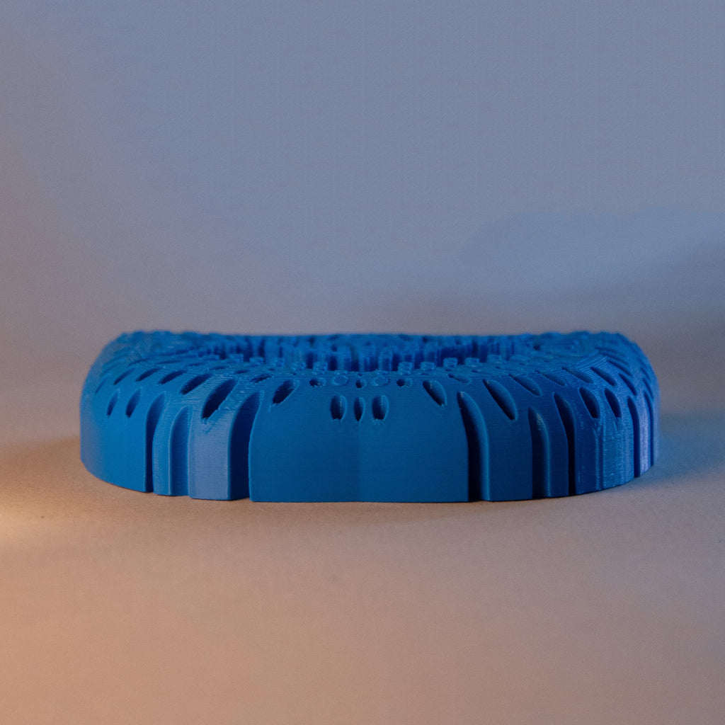 SOAP HOLDER