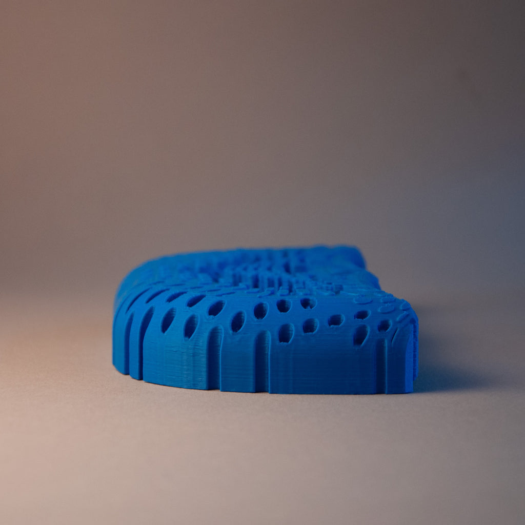 SOAP HOLDER